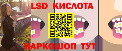 шишки Заволжье