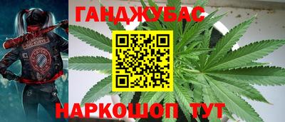 шишки Заволжье