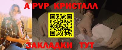 шишки Заволжье